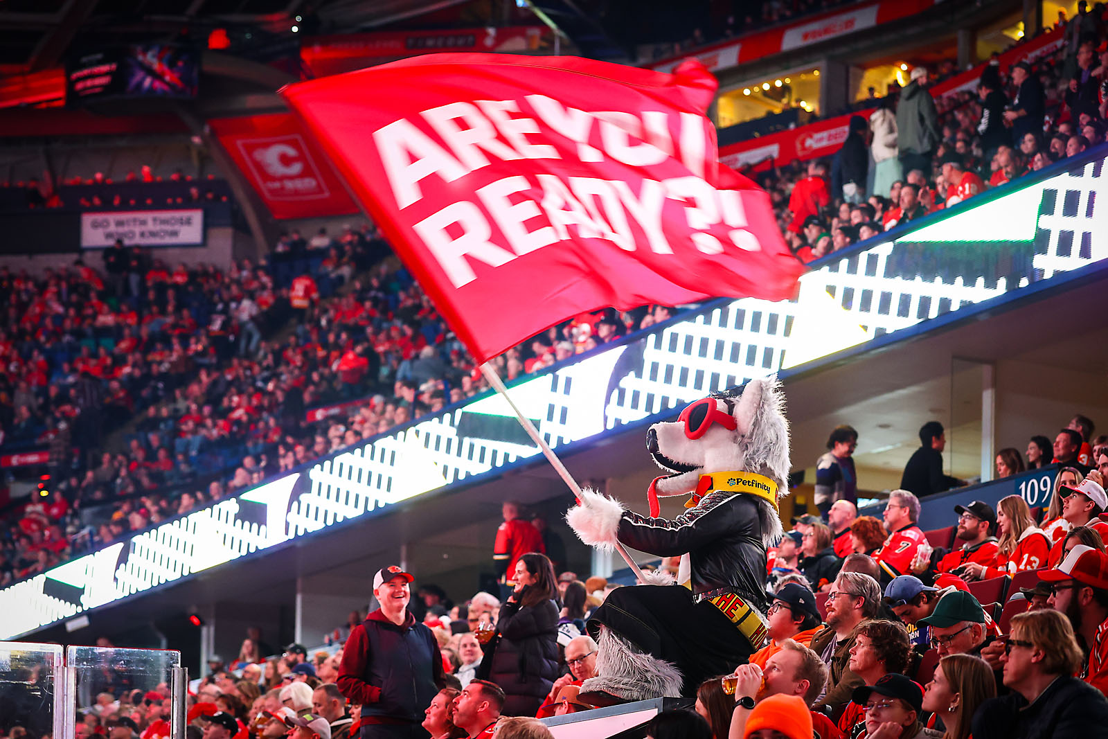 nhl hockey Calgary Flames sports photographer sergei belski photo