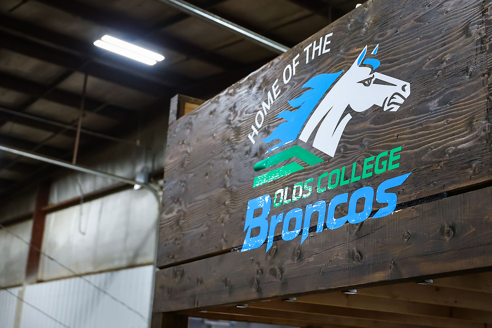 olds college rodeo sports events photographer sergei belski photo