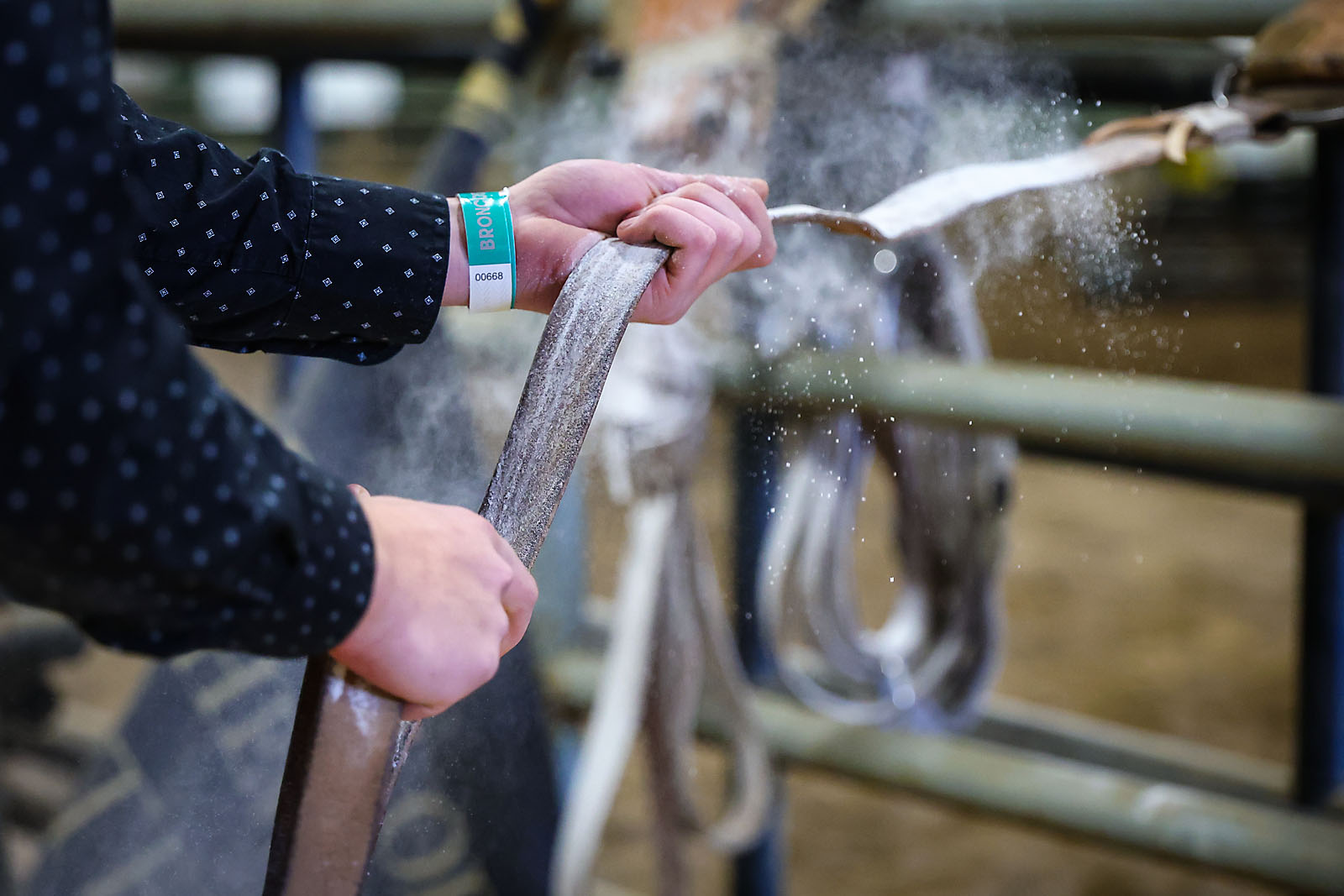 olds college rodeo sports events photographer sergei belski photo
