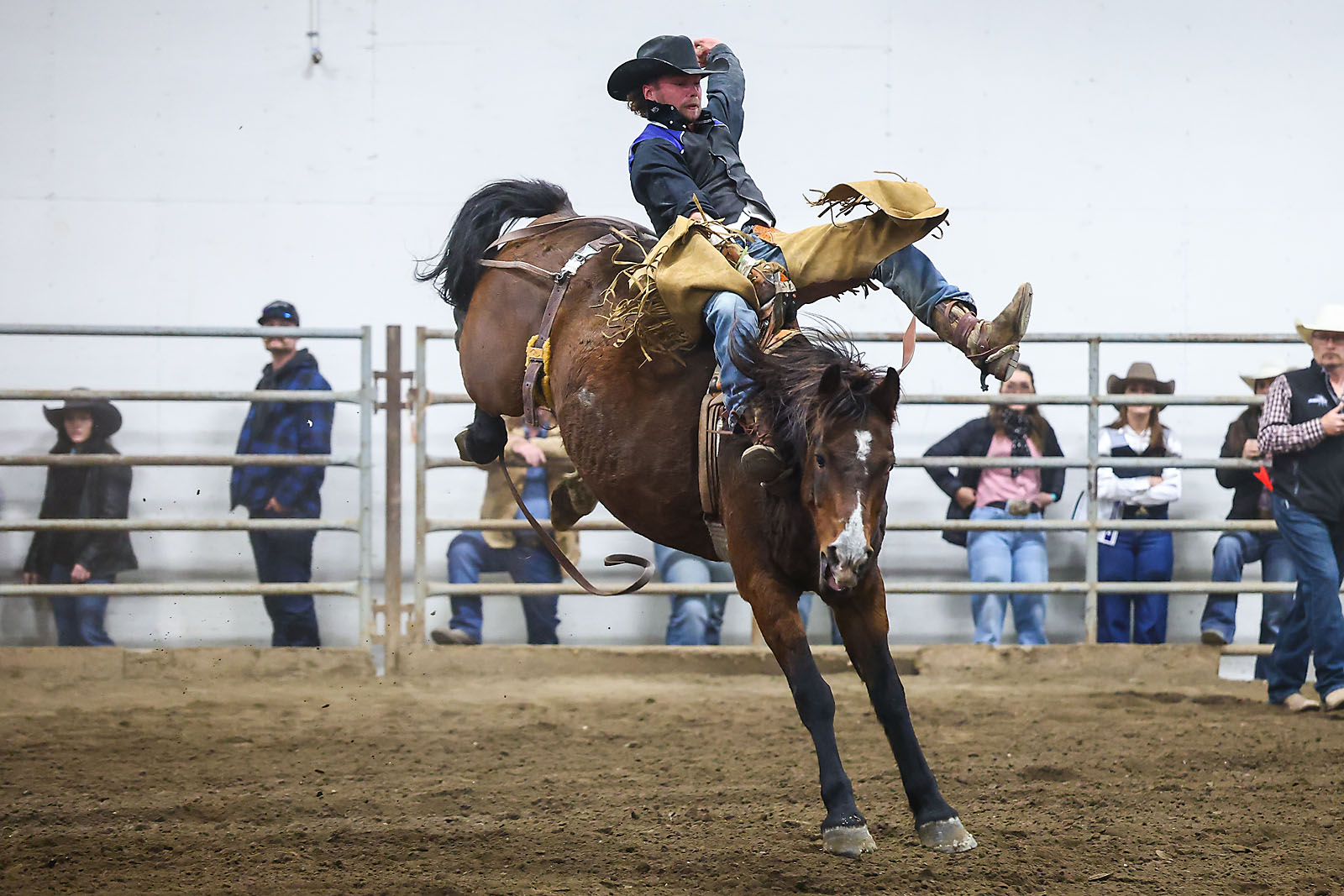 olds college rodeo sports events photographer sergei belski photo