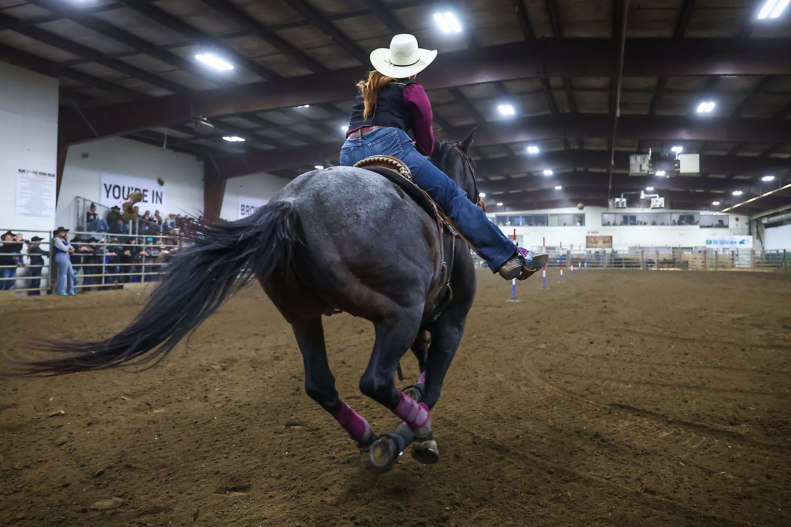 olds college rodeo sports events photographer sergei belski photo