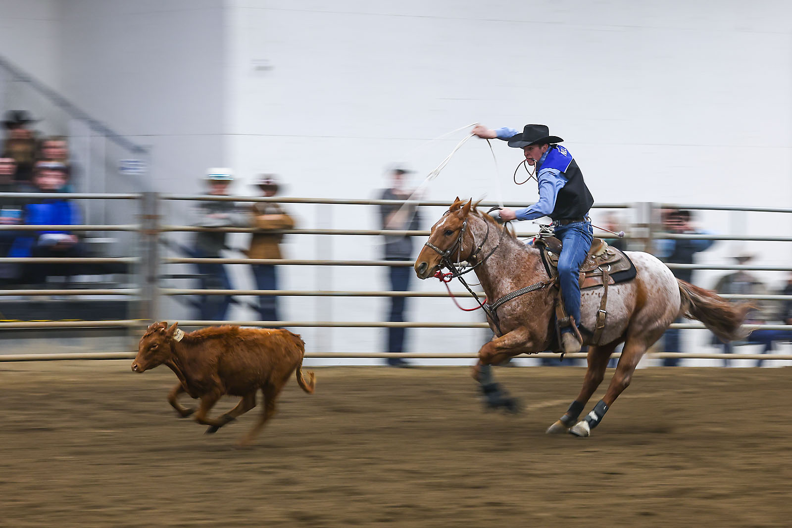 olds college rodeo sports events photographer sergei belski photo
