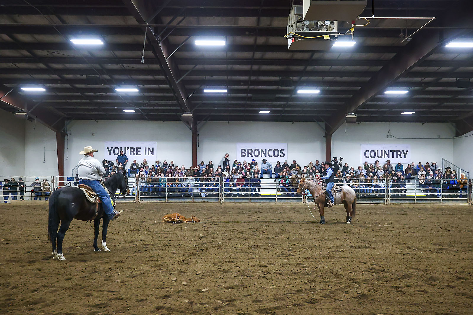 olds college rodeo sports events photographer sergei belski photo