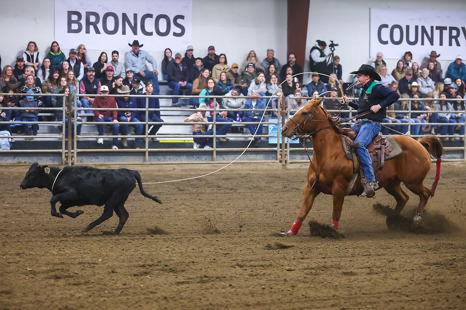 olds college rodeo sports events photographer sergei belski photo