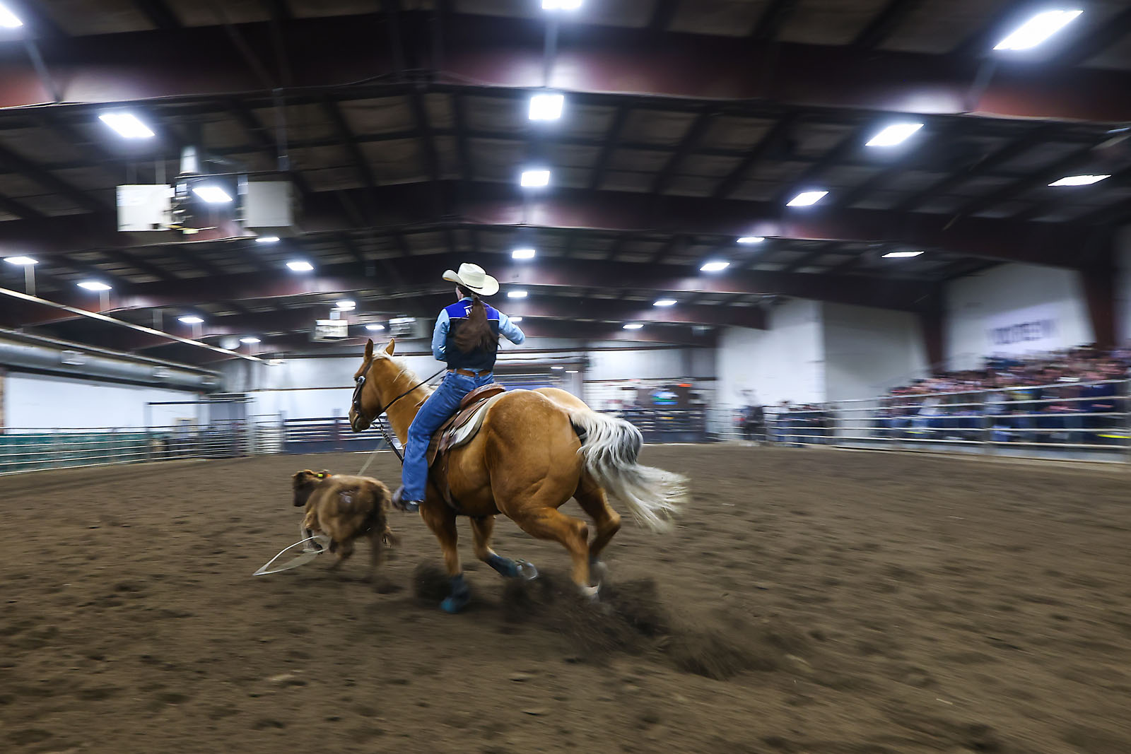 olds college rodeo sports events photographer sergei belski photo