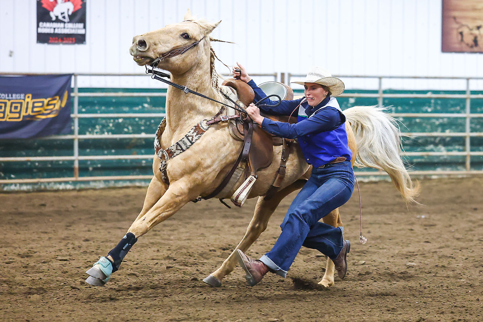olds college rodeo sports events photographer sergei belski photo