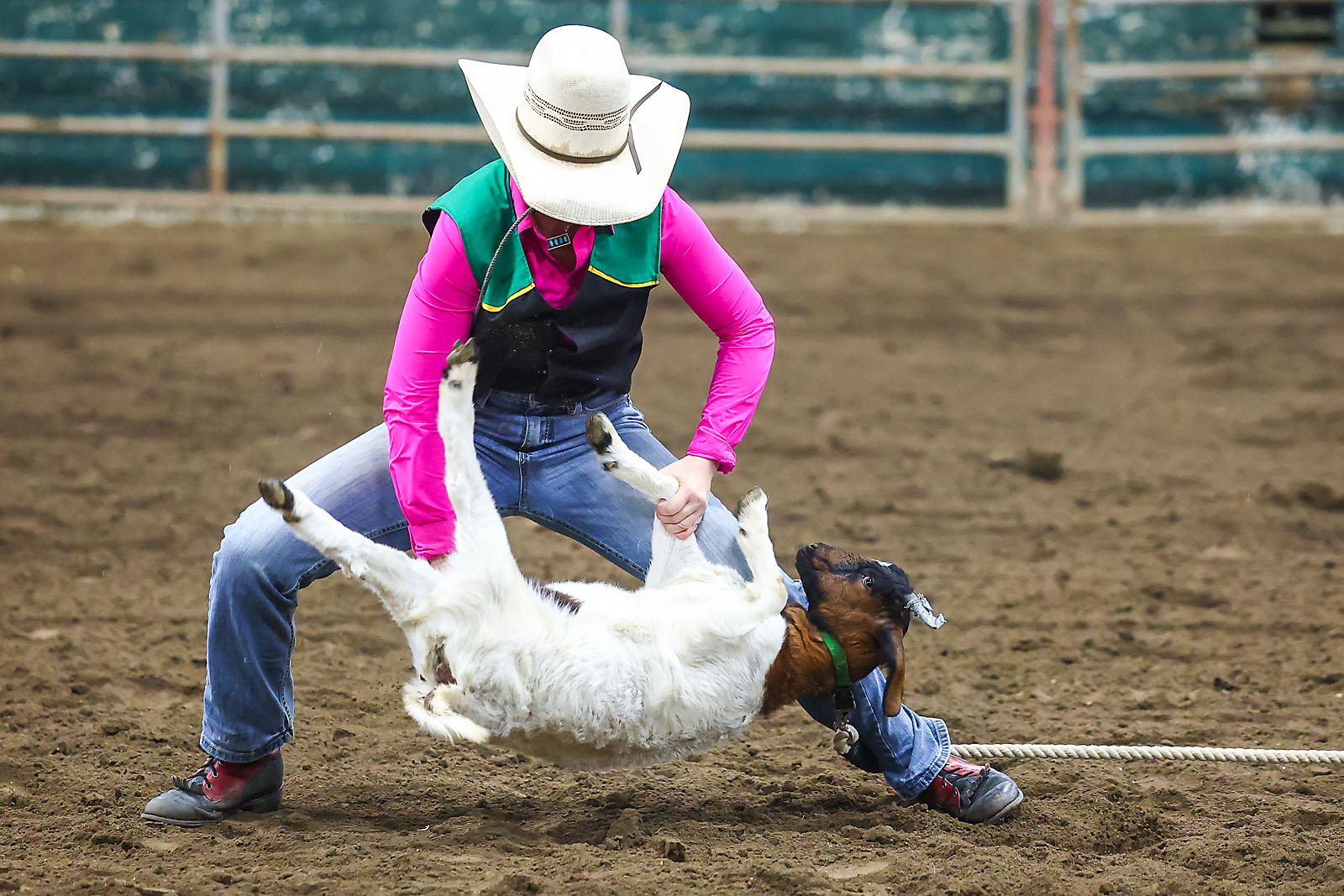 olds college rodeo sports events photographer sergei belski photo