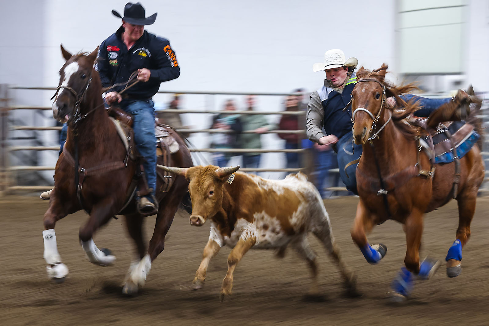 olds college rodeo sports events photographer sergei belski photo