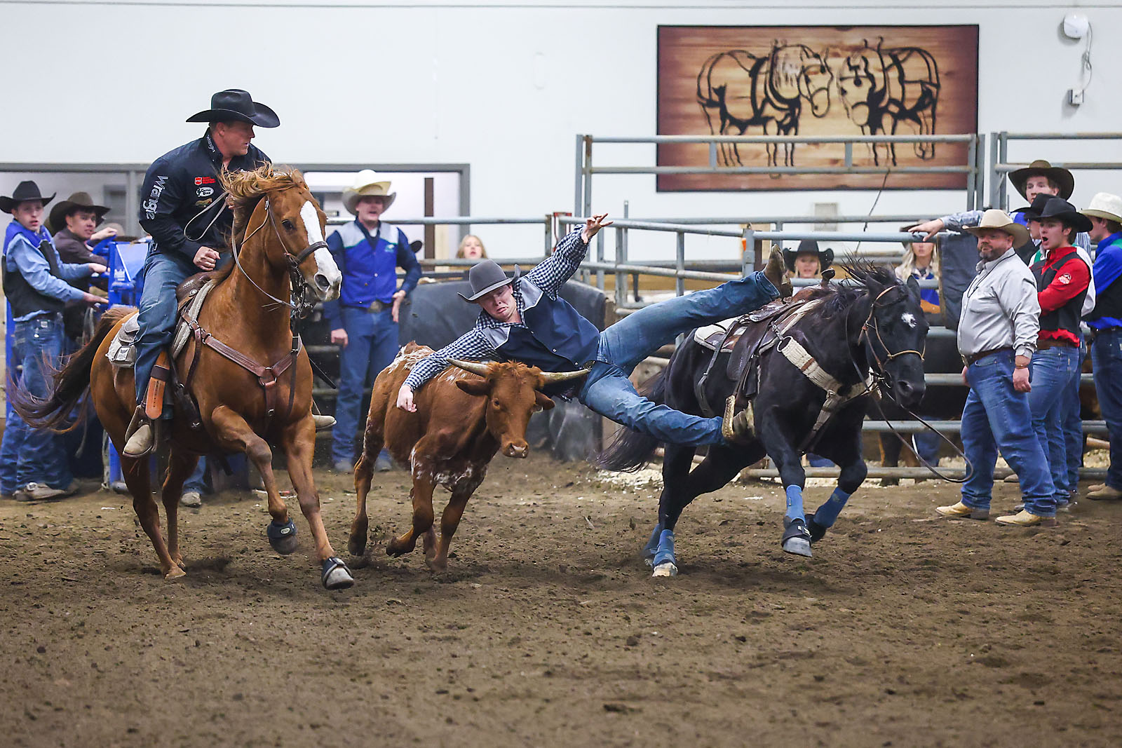 olds college rodeo sports events photographer sergei belski photo