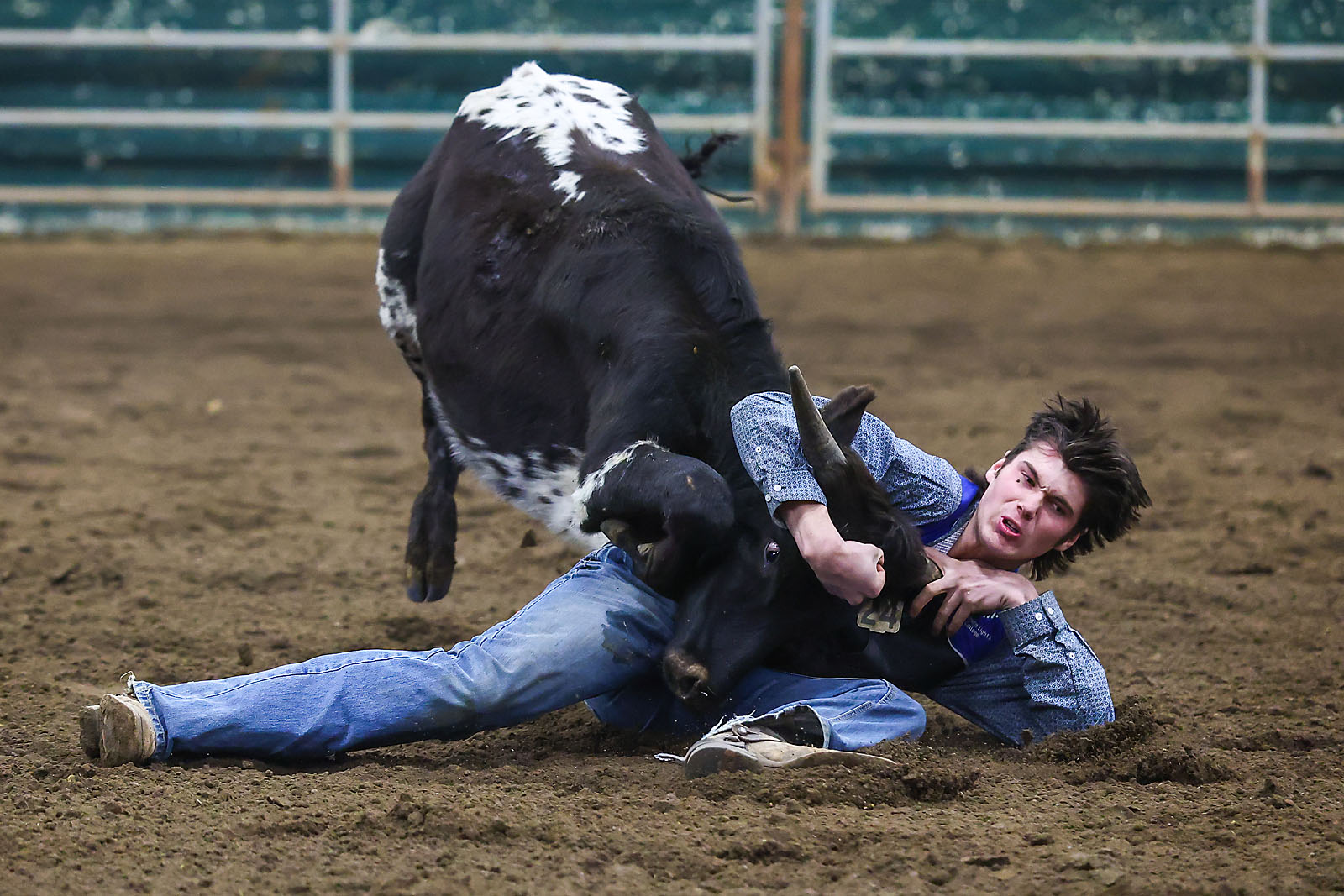 olds college rodeo sports events photographer sergei belski photo