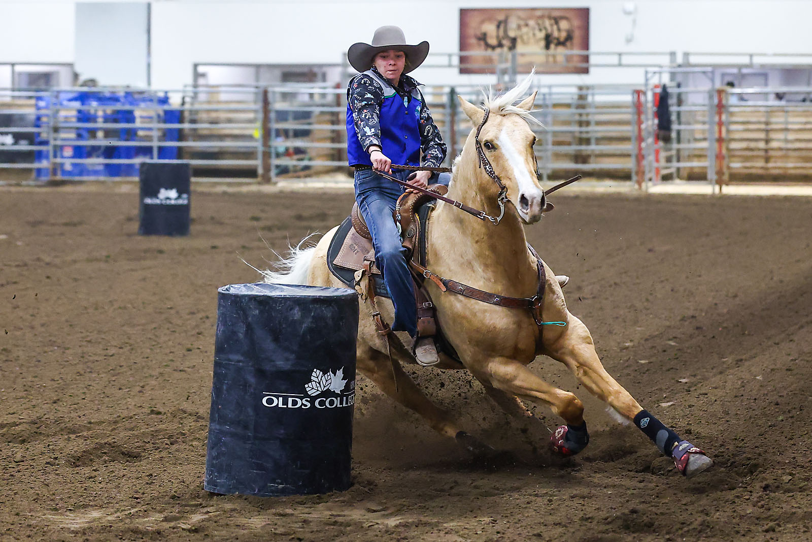 olds college rodeo sports events photographer sergei belski photo