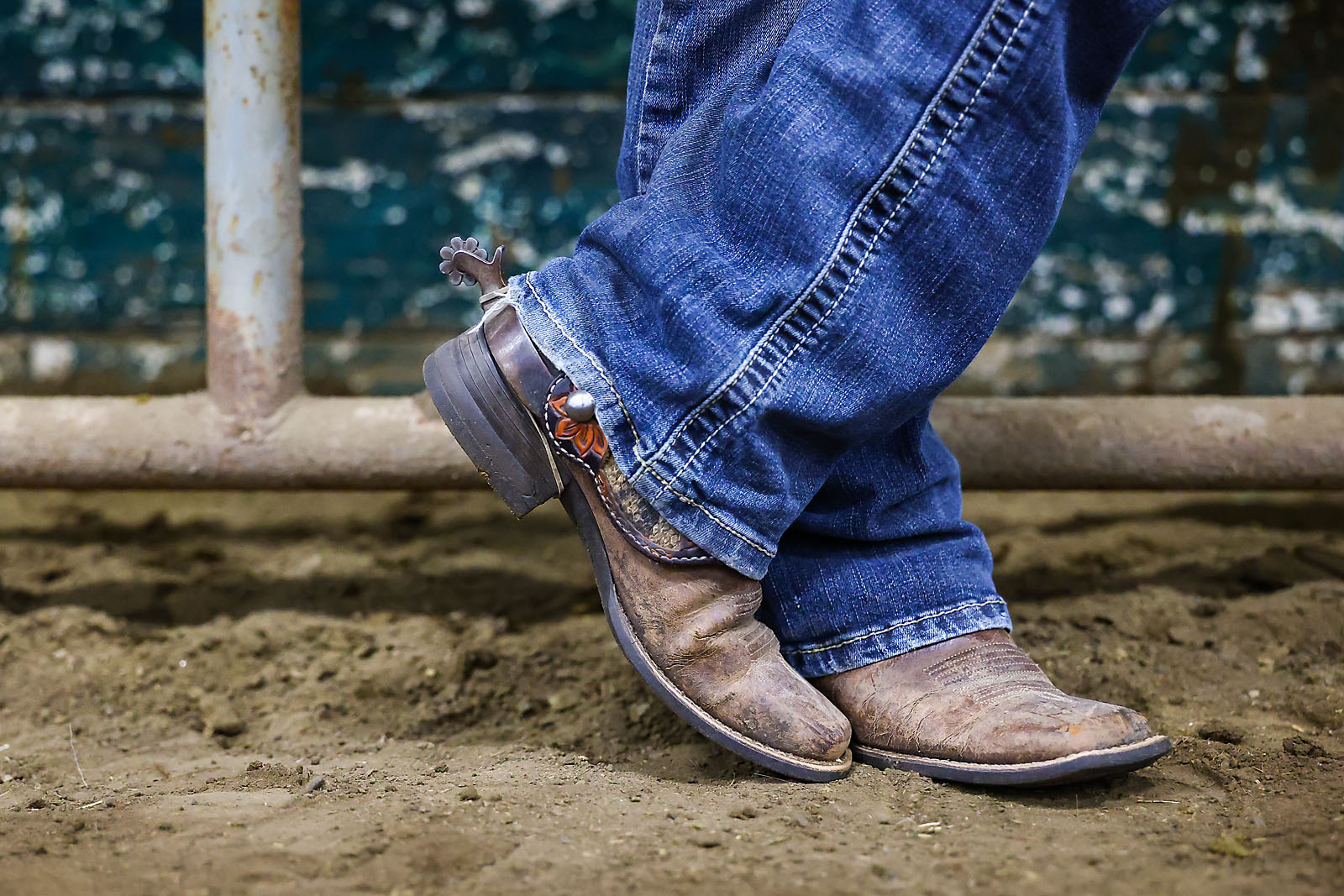olds college rodeo sports events photographer sergei belski photo