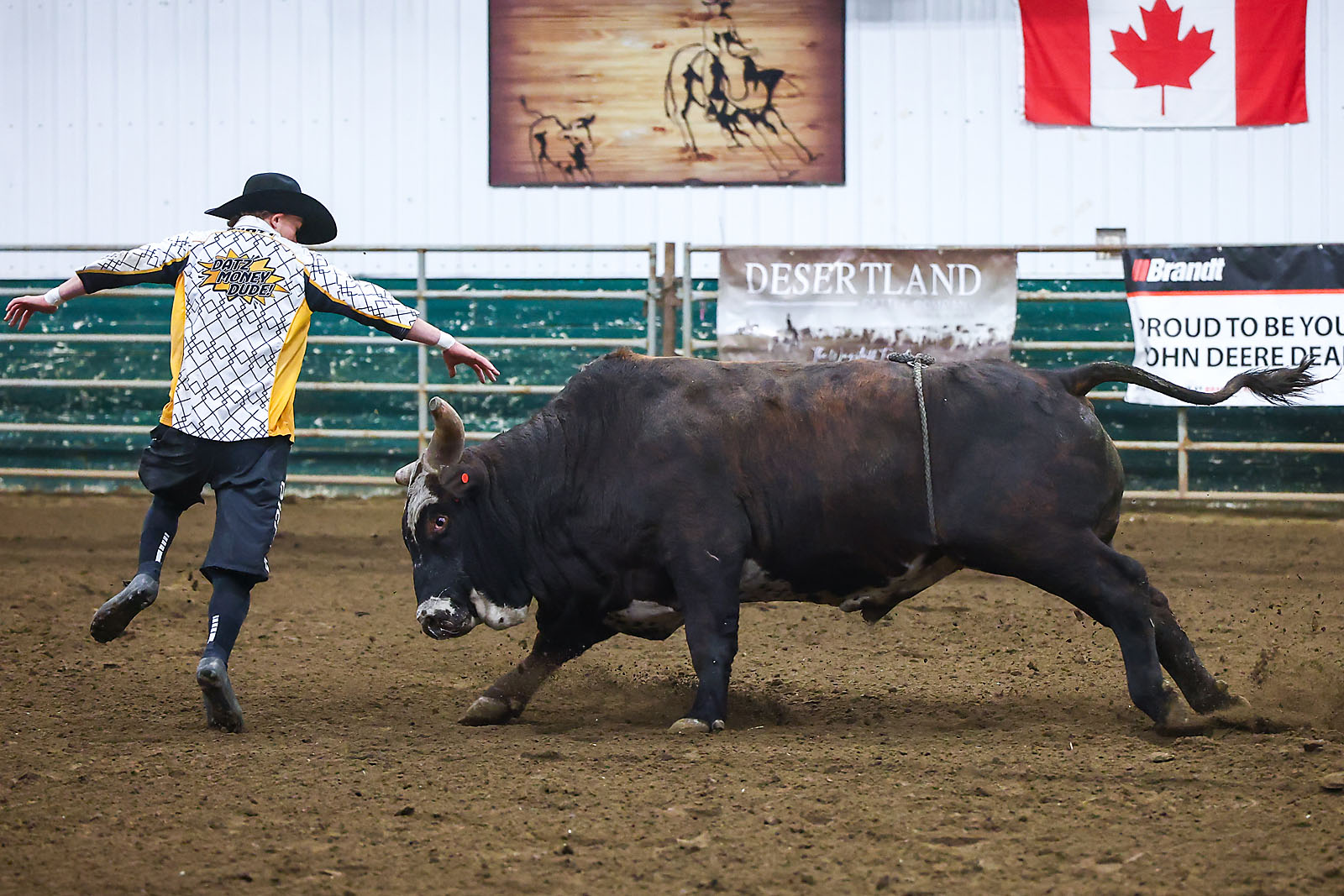 olds college rodeo sports events photographer sergei belski photo