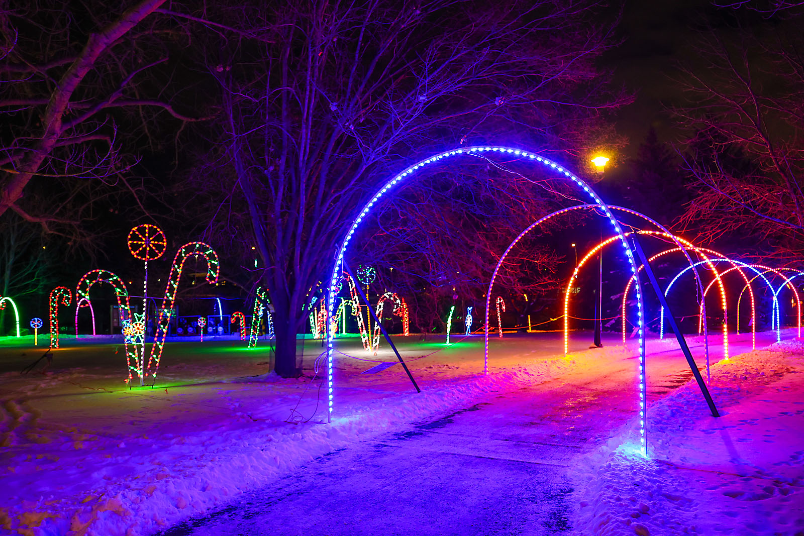 airdrie festival of lights event photographer sergei belski photo