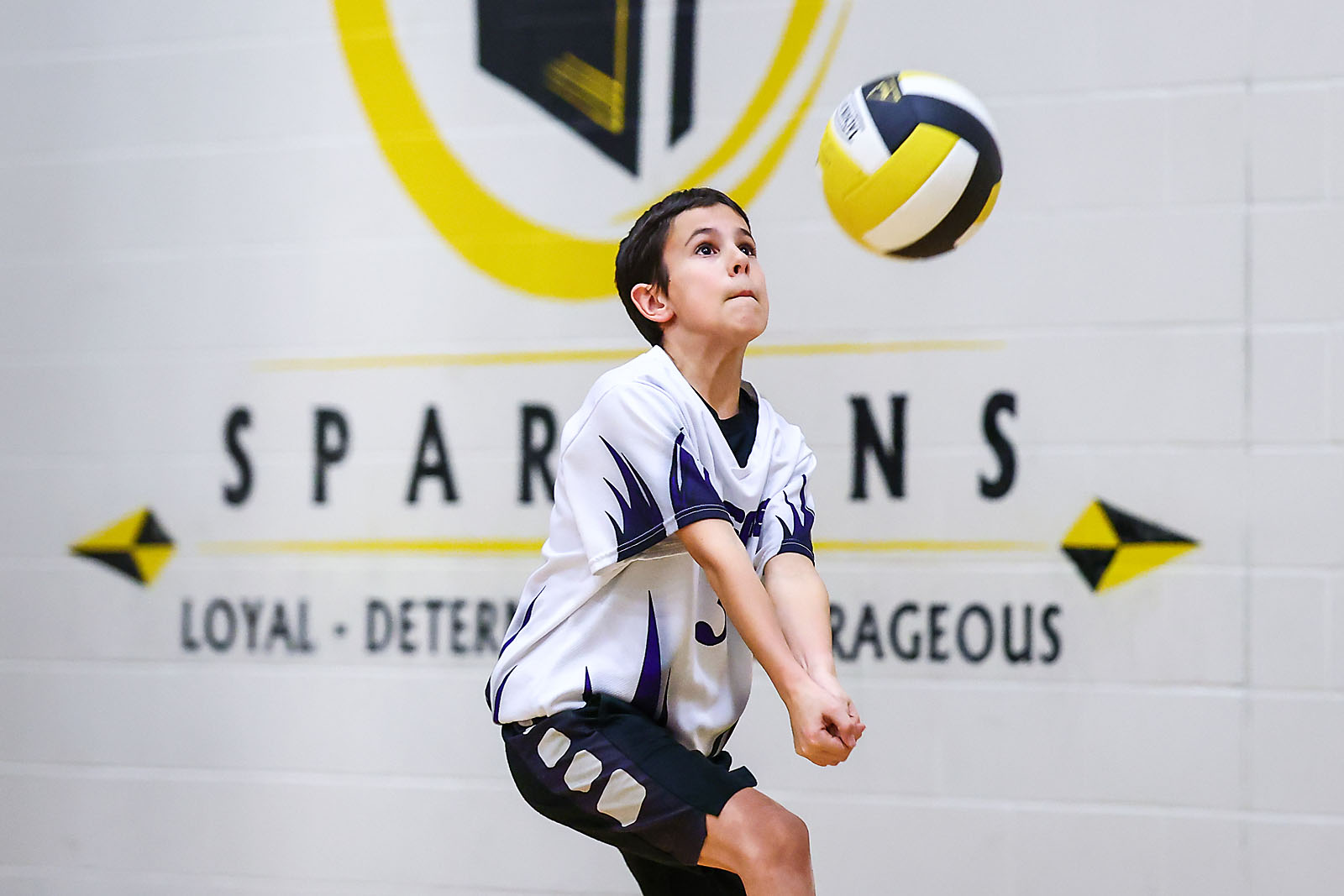 volleyball airdrie sports photographer sergei belski photo