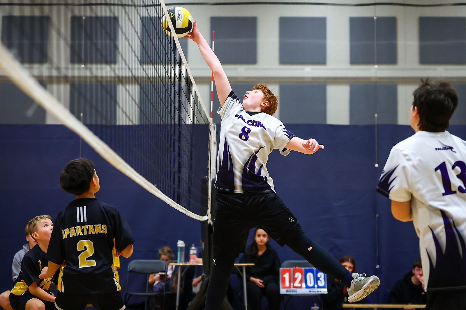 volleyball airdrie sports photographer sergei belski photo