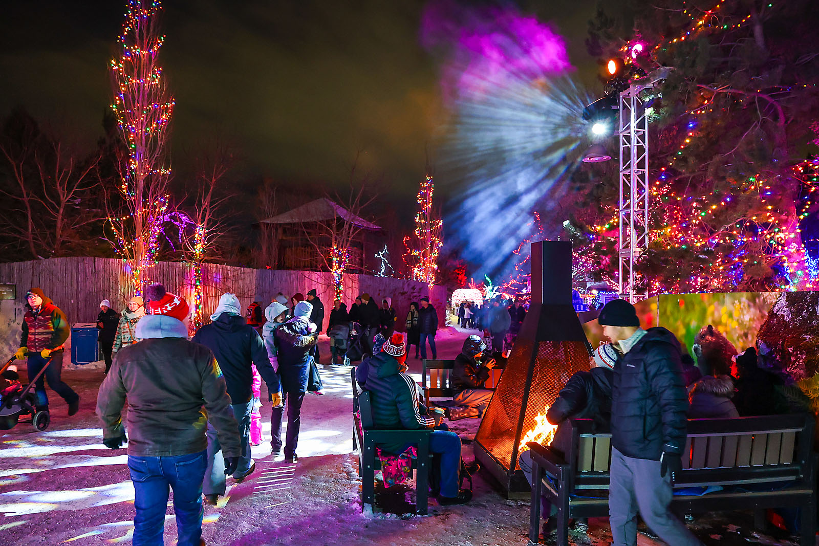 calgary zoolights event photographer sergei belski photo