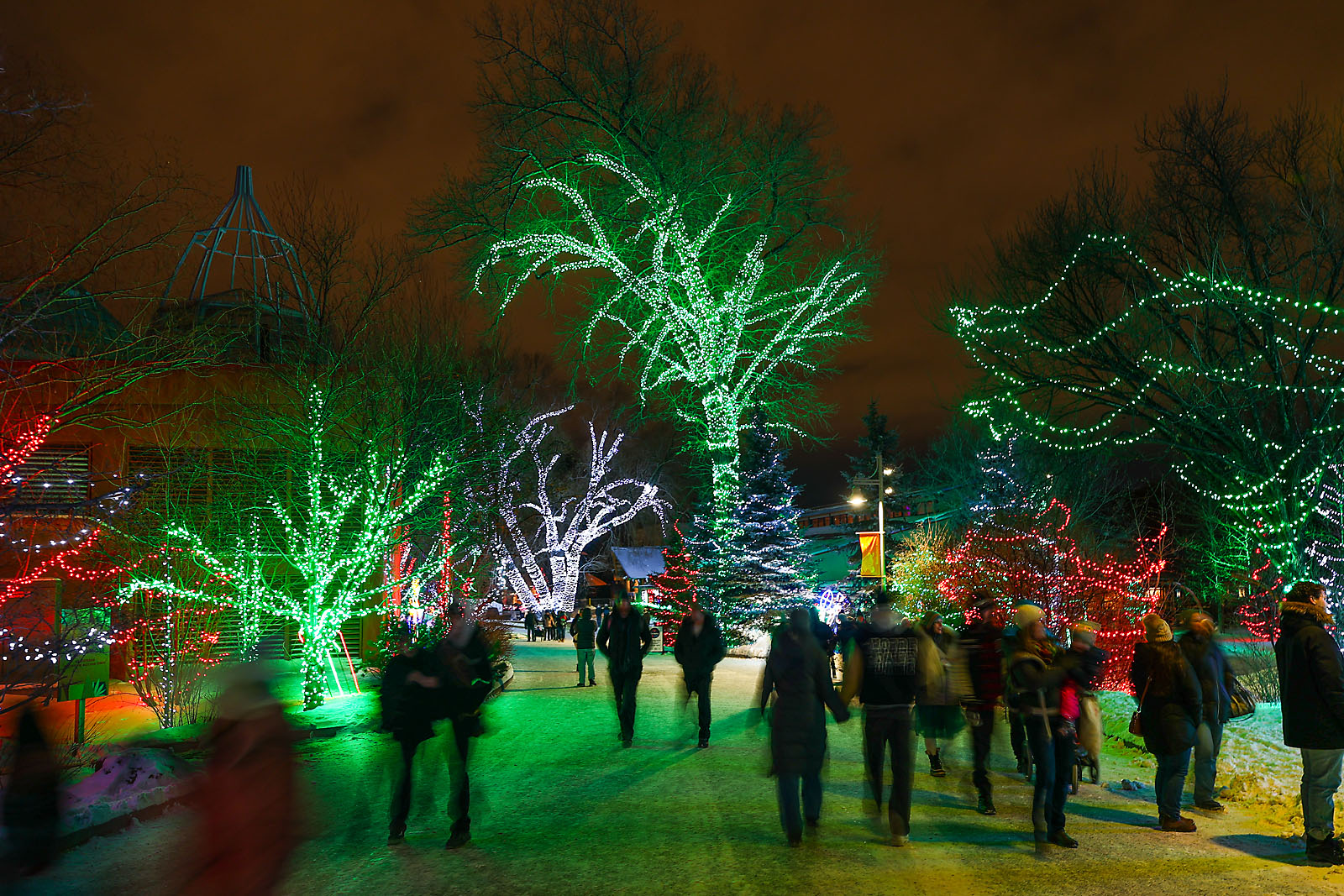 calgary zoolights event photographer sergei belski photo