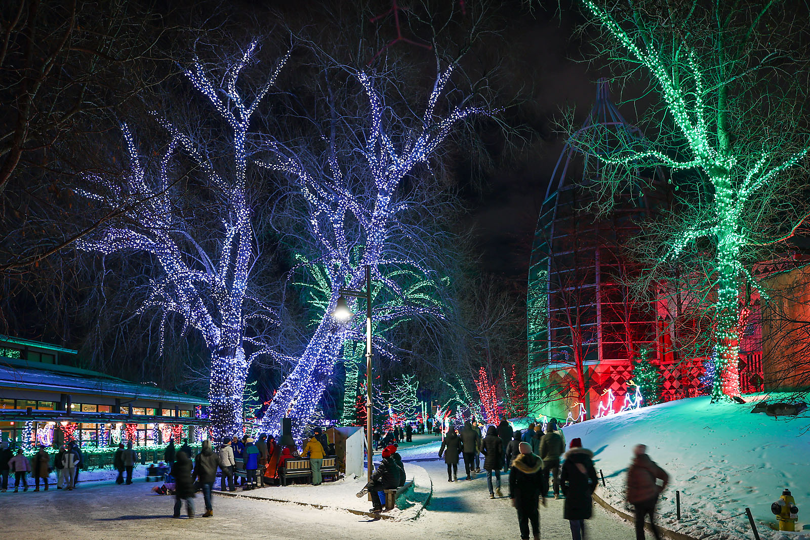 calgary zoolights event photographer sergei belski photo