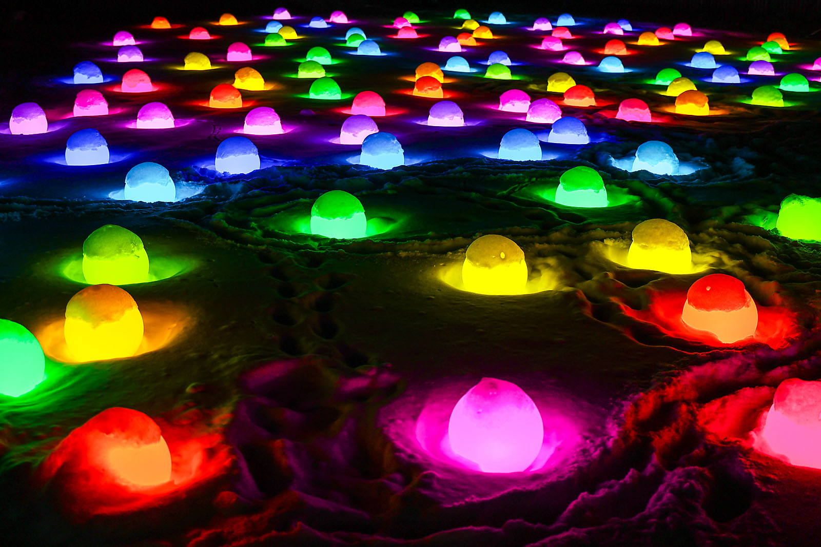 calgary zoolights event photographer sergei belski photo