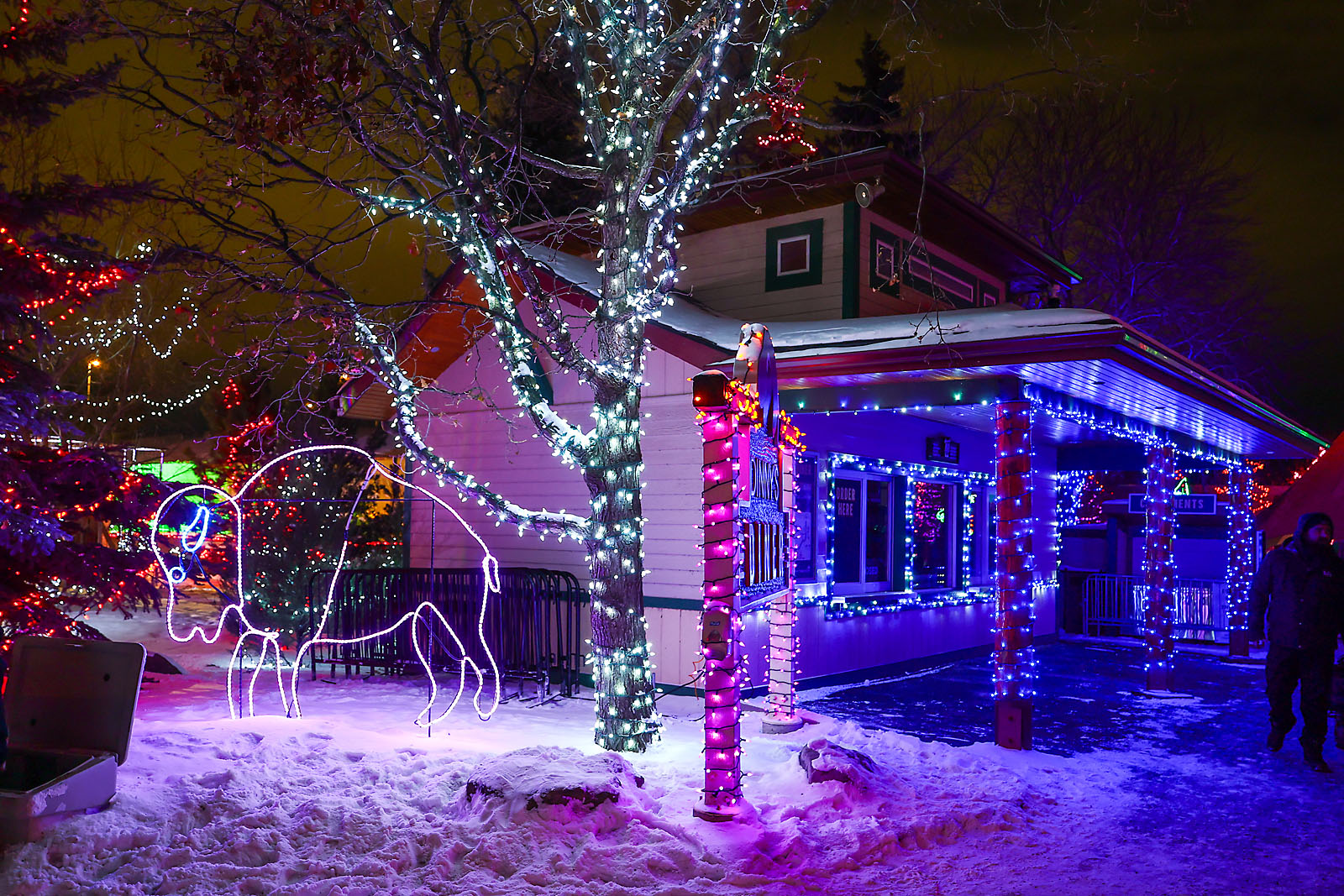 calgary zoolights event photographer sergei belski photo