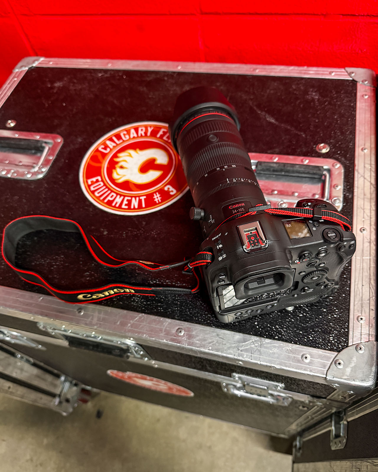nhl hockey Calgary Flames sports photographer sergei belski photo