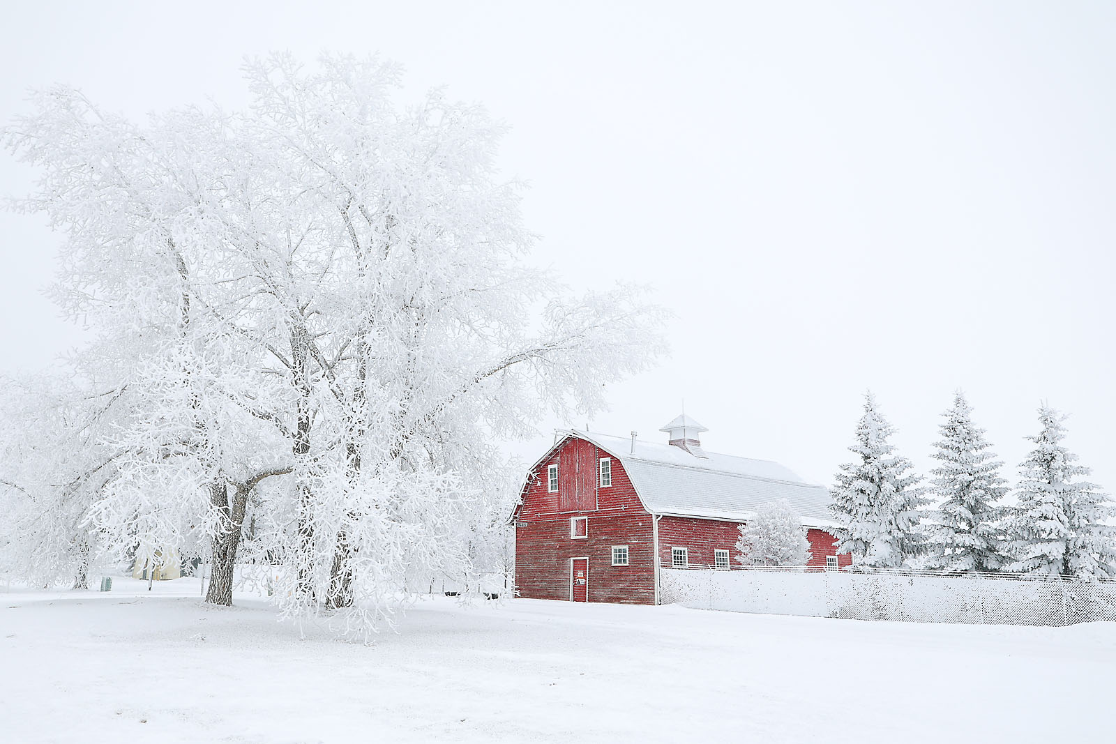 olds college commercial calgary photographer sergei belski photo