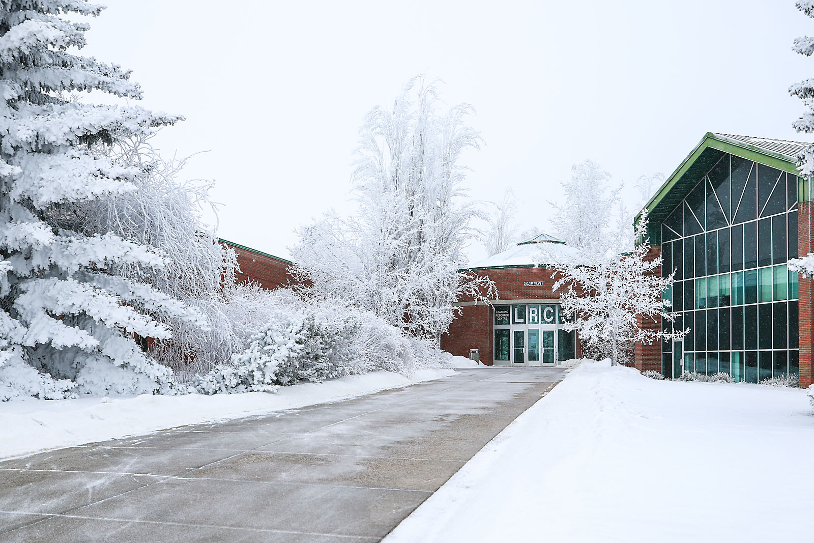 olds college commercial calgary photographer sergei belski photo