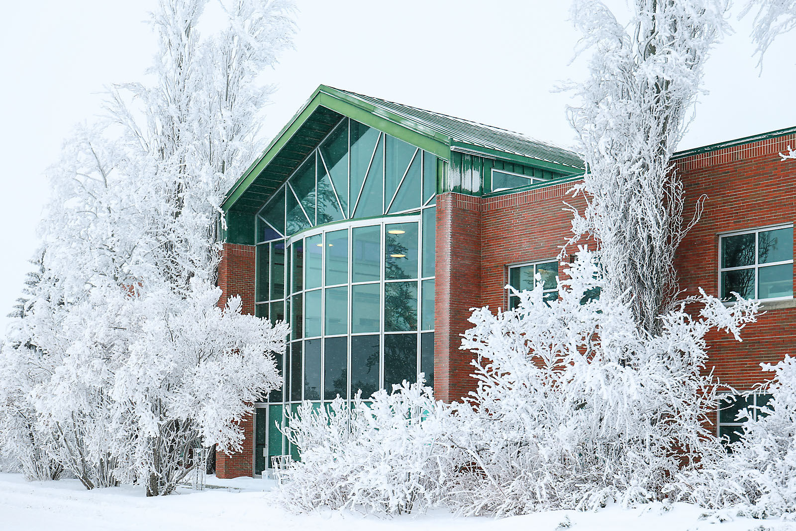olds college commercial calgary photographer sergei belski photo