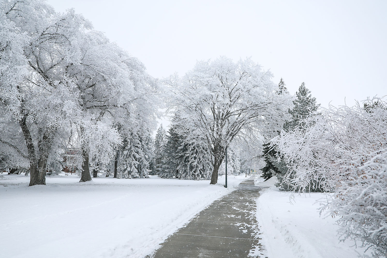 olds college commercial calgary photographer sergei belski photo