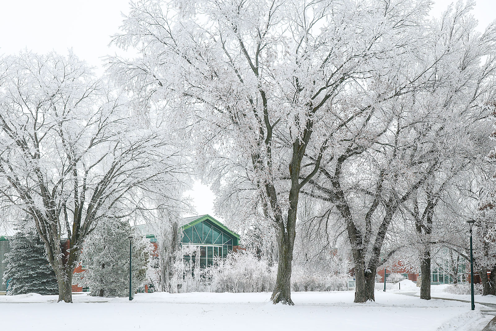 olds college commercial calgary photographer sergei belski photo