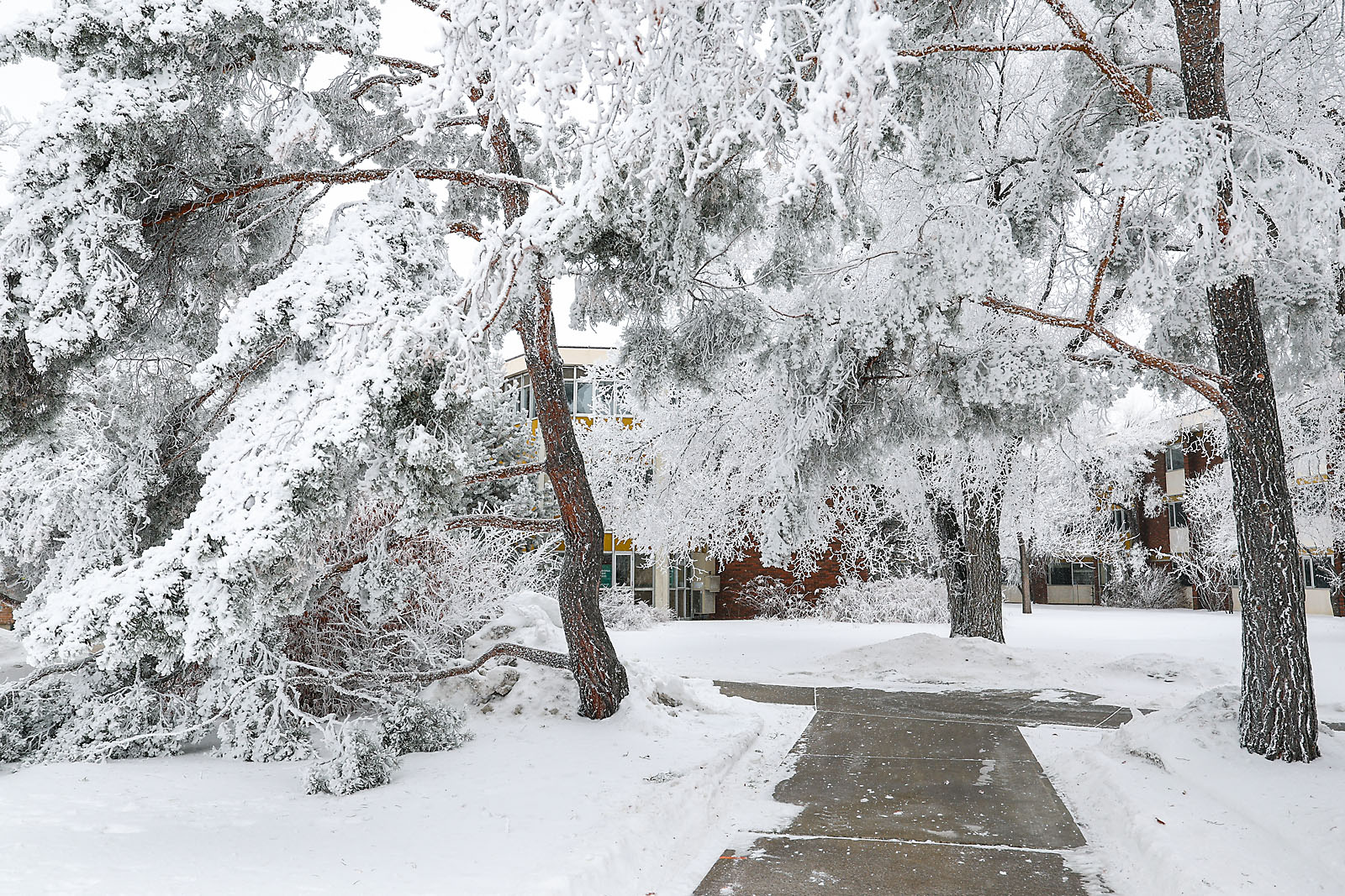 olds college commercial calgary photographer sergei belski photo