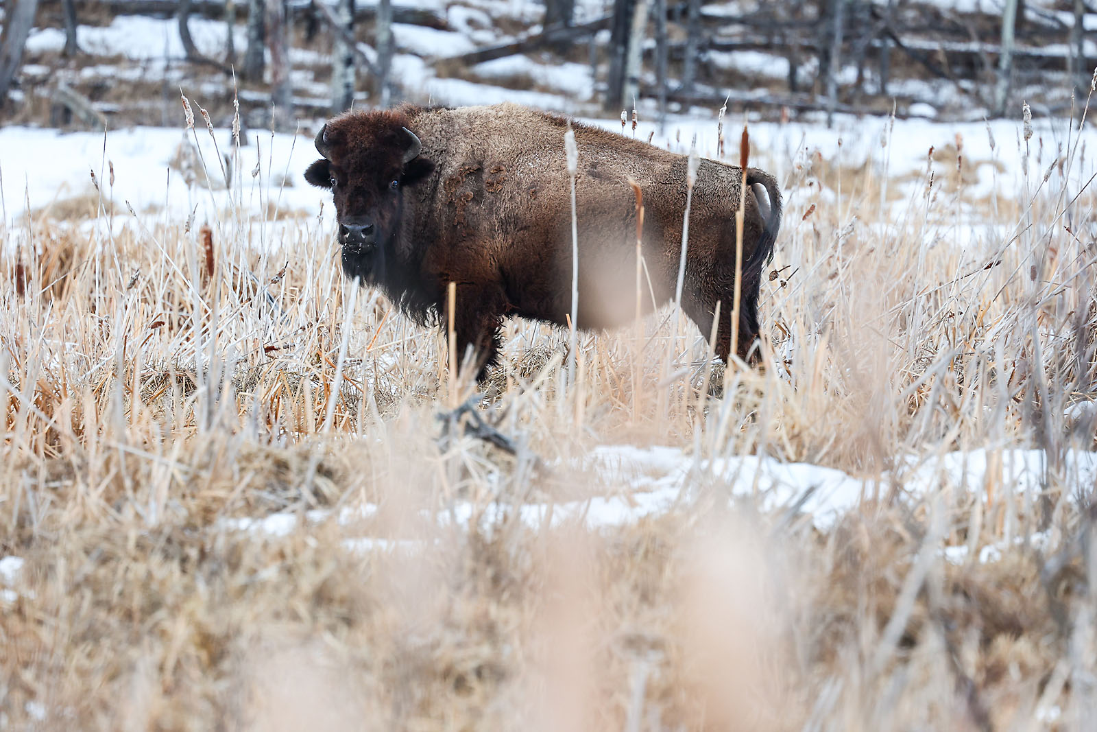 my Rivian adventures travel photographer sergei belski photo