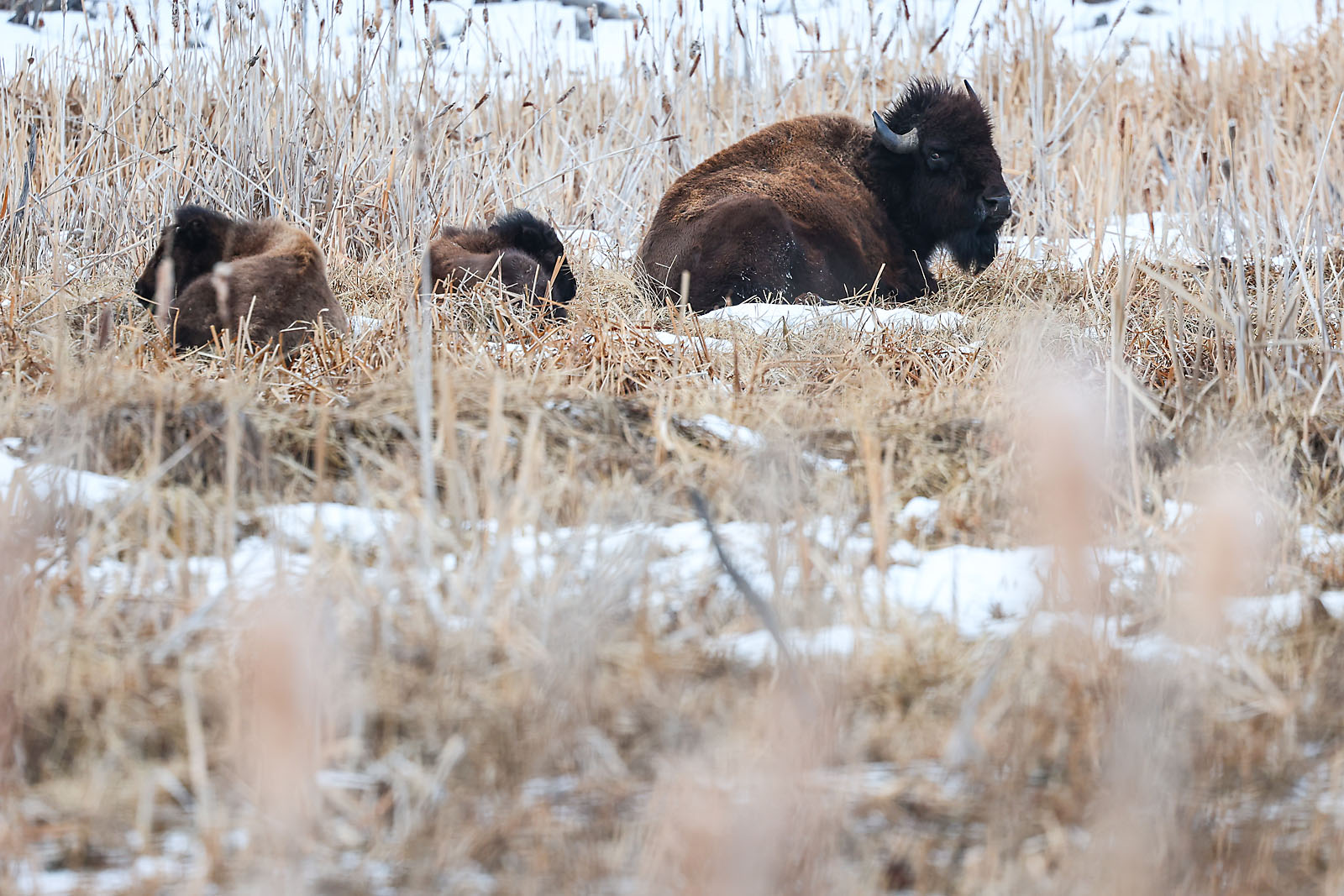 my Rivian adventures travel photographer sergei belski photo