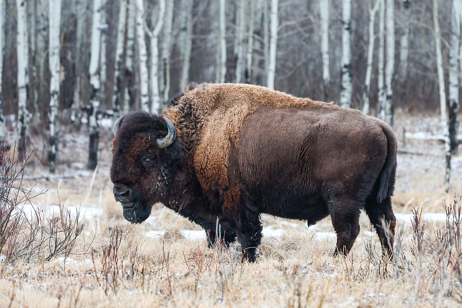 my Rivian adventures travel photographer sergei belski photo