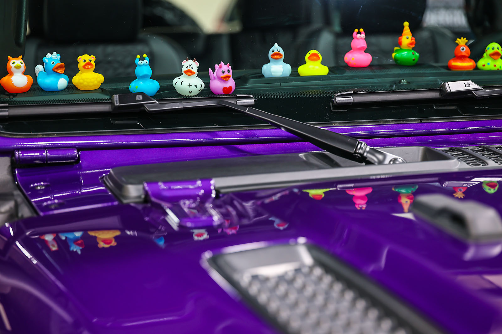 calgary international auto and truck show sergei belski photo