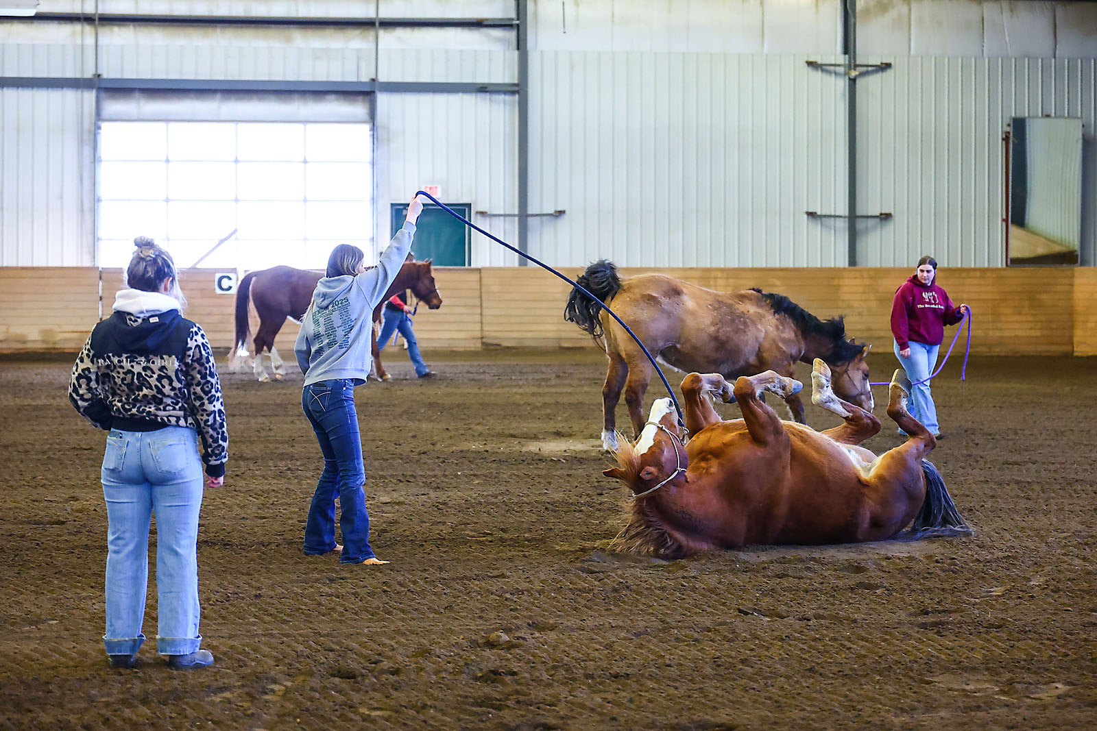 olds college commercial calgary photographer sergei belski photo