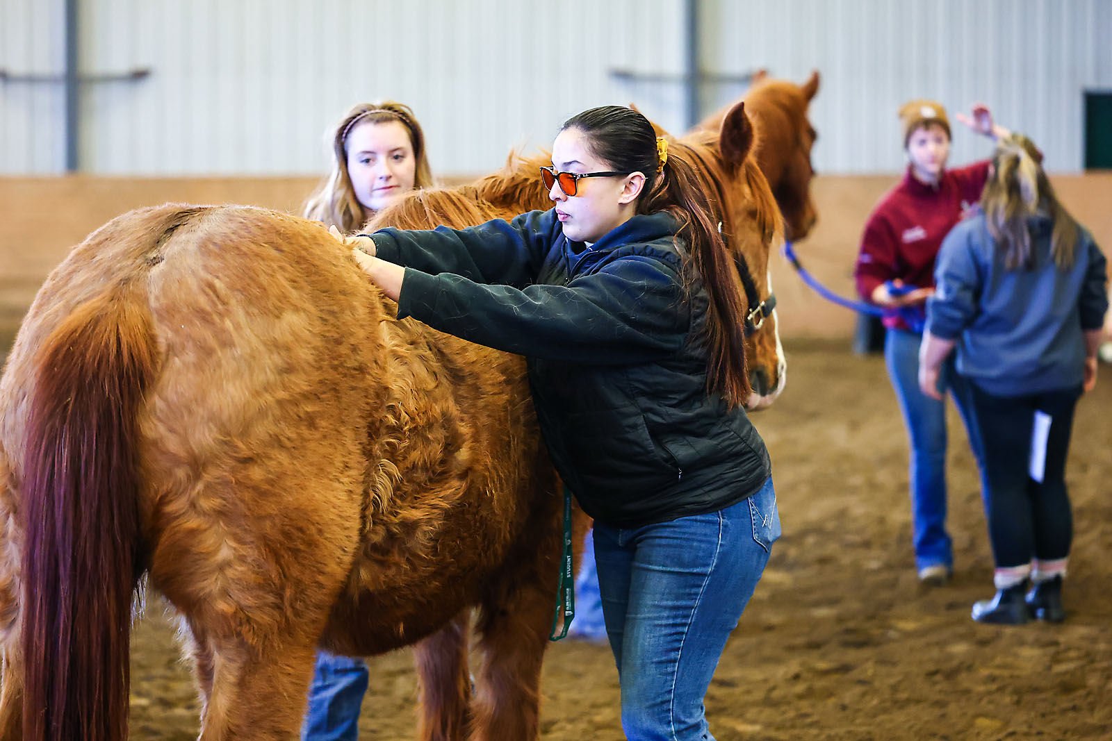 olds college commercial calgary photographer sergei belski photo
