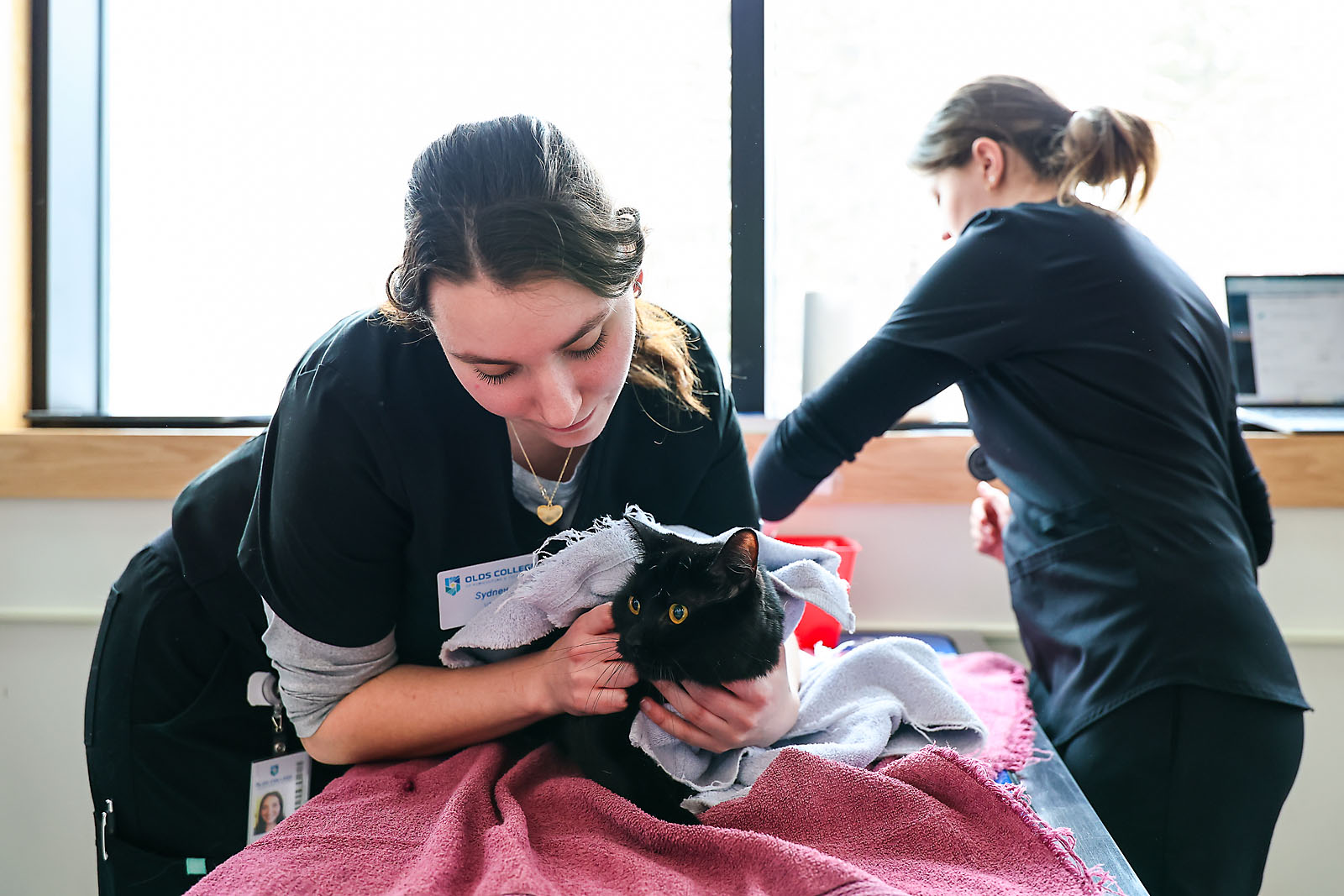 olds college commercial calgary photographer sergei belski photo