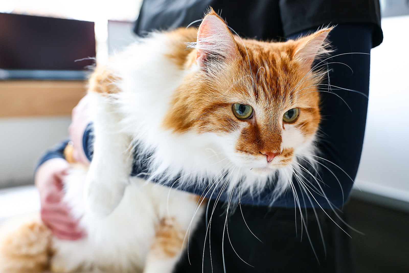 olds college commercial calgary photographer sergei belski photo