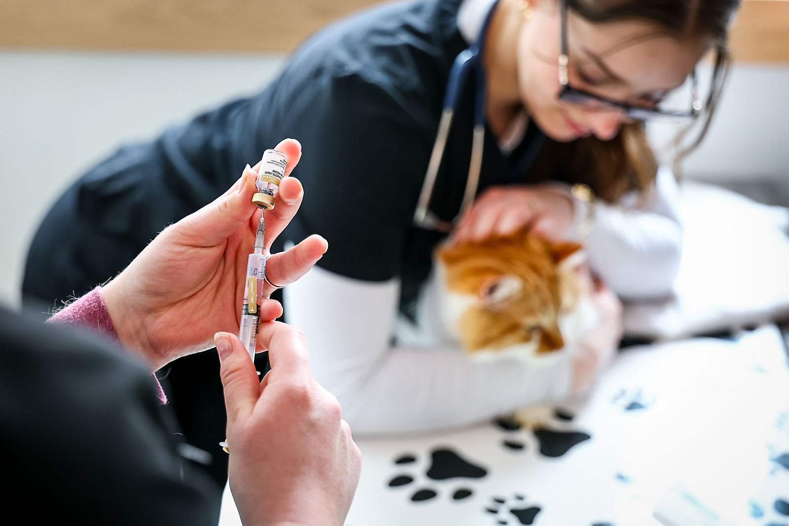 olds college commercial calgary photographer sergei belski photo