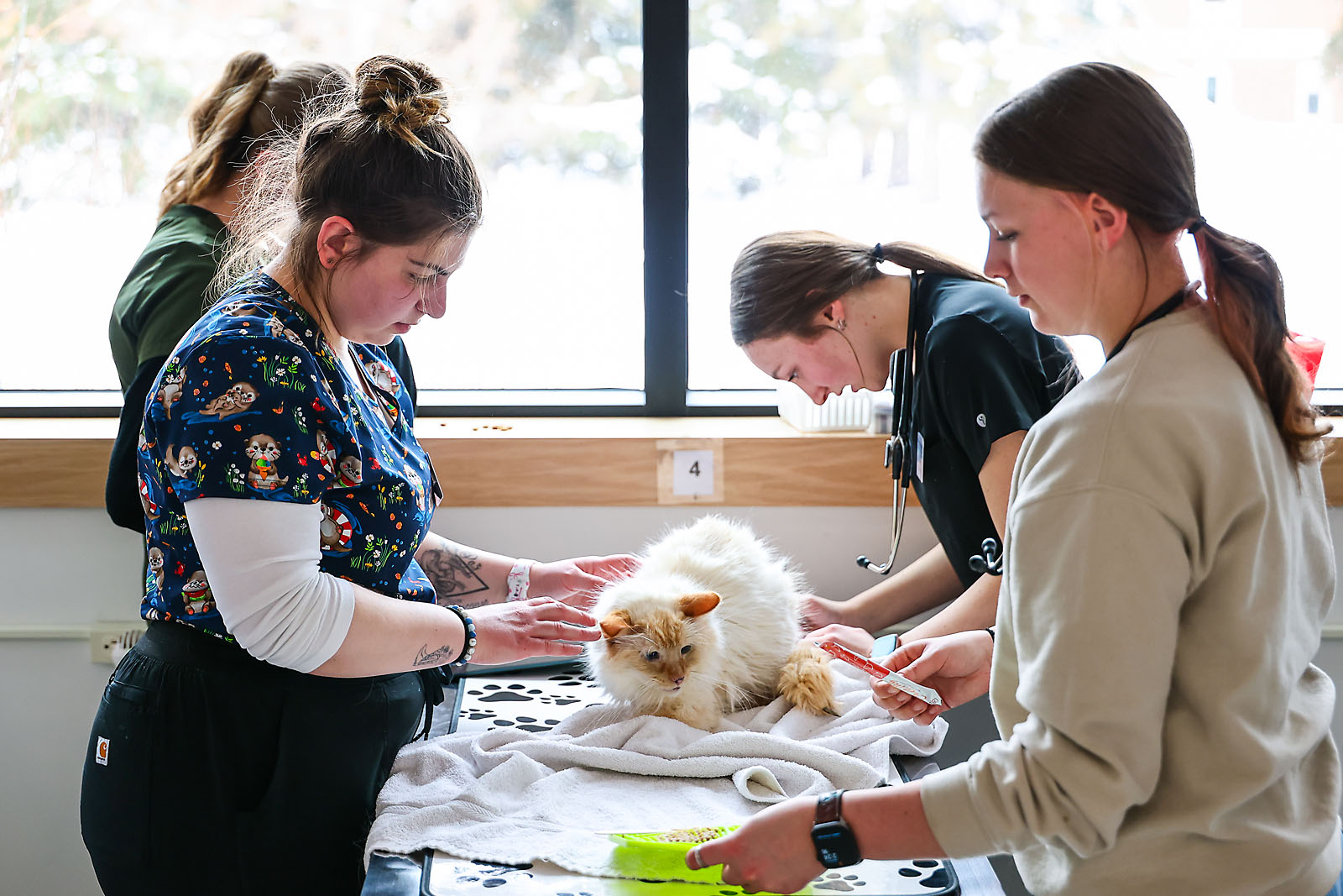 olds college commercial calgary photographer sergei belski photo